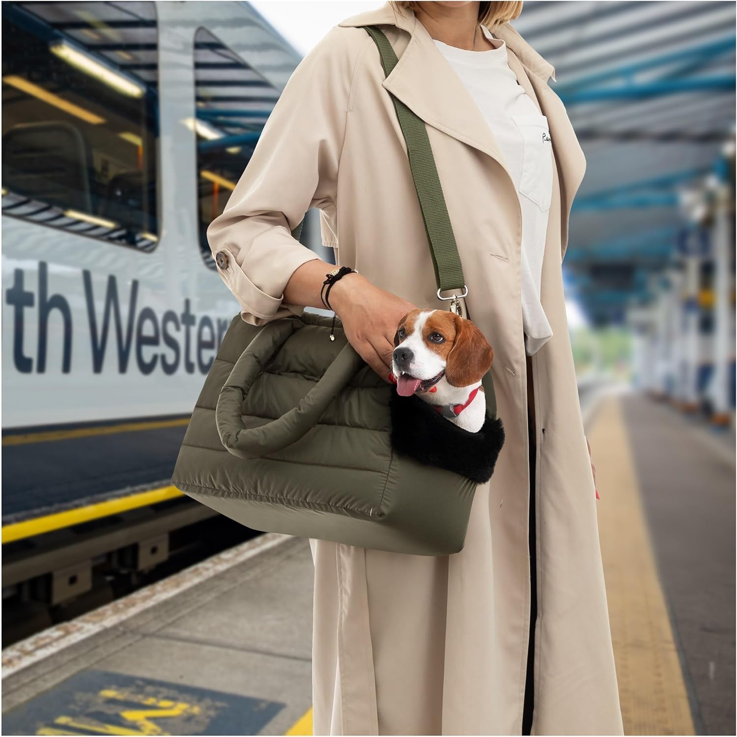 Hundetasche, Welpentasche - Tragetasche Für Kleinen Und Mittleren Hund, Katze - S - Bis 5 Kg, Tasche Für Unterwegs, Hundetrage Mit Karabiner, Dog Carrier, Transporttasche, Olivgrün